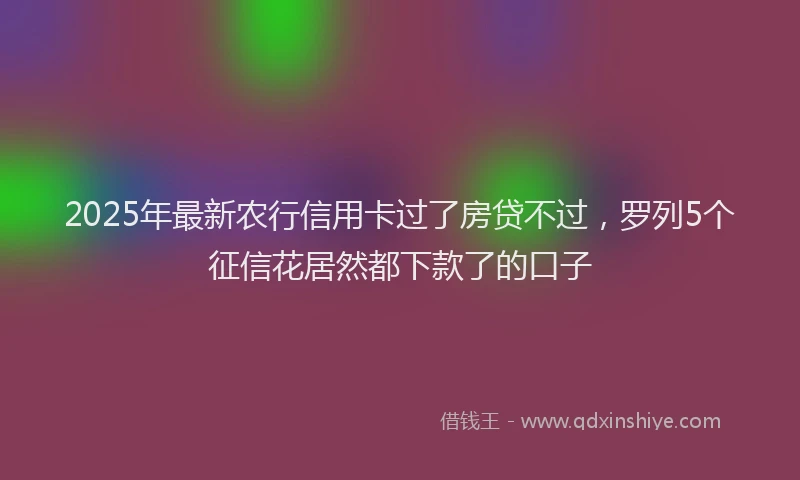 2025年最新农行信用卡过了房贷不过，罗列5个征信花居然都下款了的口子