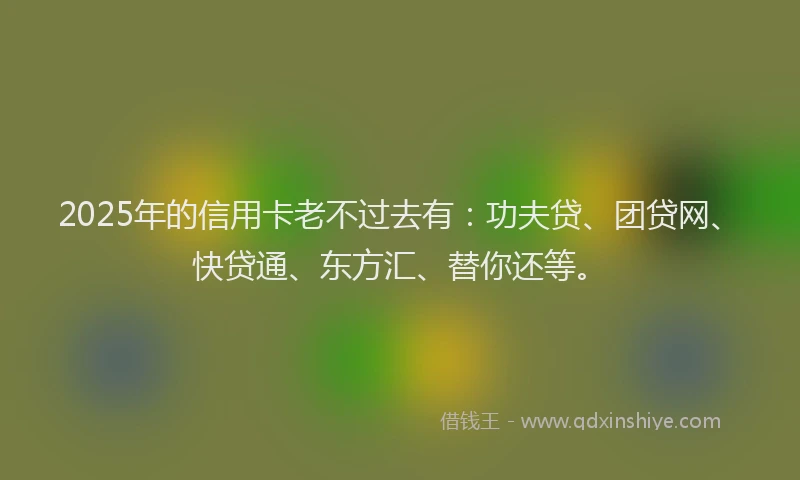 2025年的信用卡老不过去有：功夫贷、团贷网、快贷通、东方汇、替你还等。