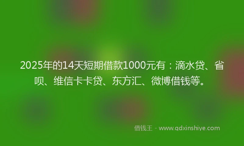 2025年的14天短期借款1000元有：滴水贷、省呗、维信卡卡贷、东方汇、微博借钱等。