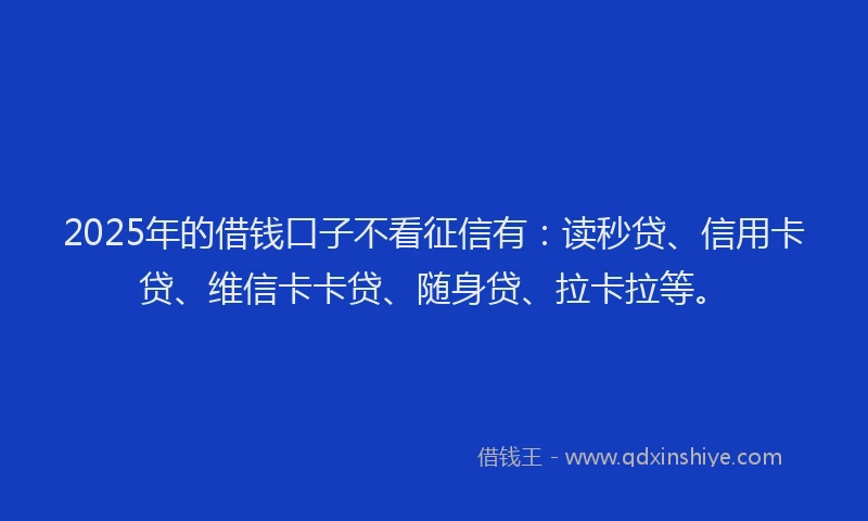 2025年的借钱口子不看征信有：读秒贷、信用卡贷、维信卡卡贷、随身贷、拉卡拉等。