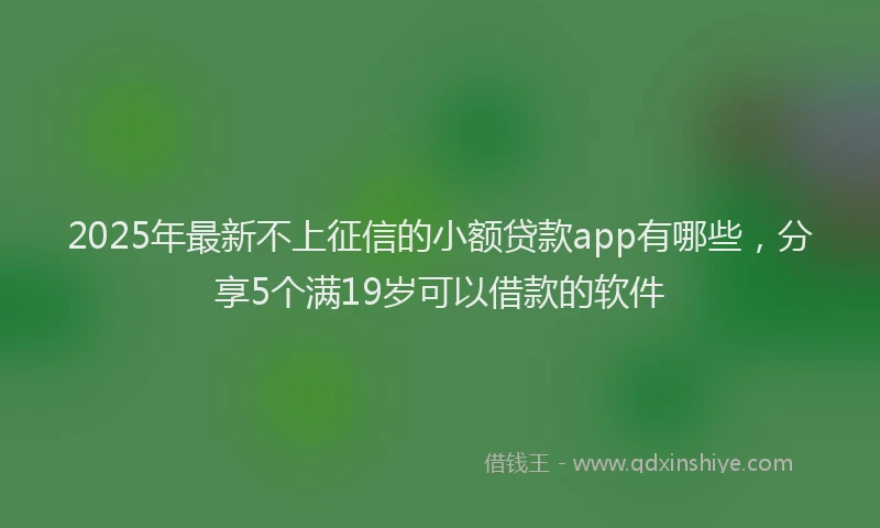 2025年最新不上征信的小额贷款app有哪些，分享5个满19岁可以借款的软件