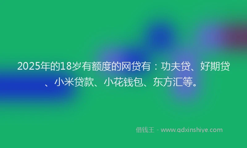 2025年的18岁有额度的网贷有：功夫贷、好期贷、小米贷款、小花钱包、东方汇等。