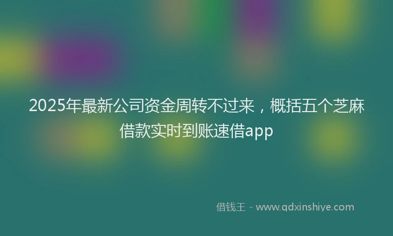 2025年最新公司资金周转不过来，概括五个芝麻借款实时到账速借app