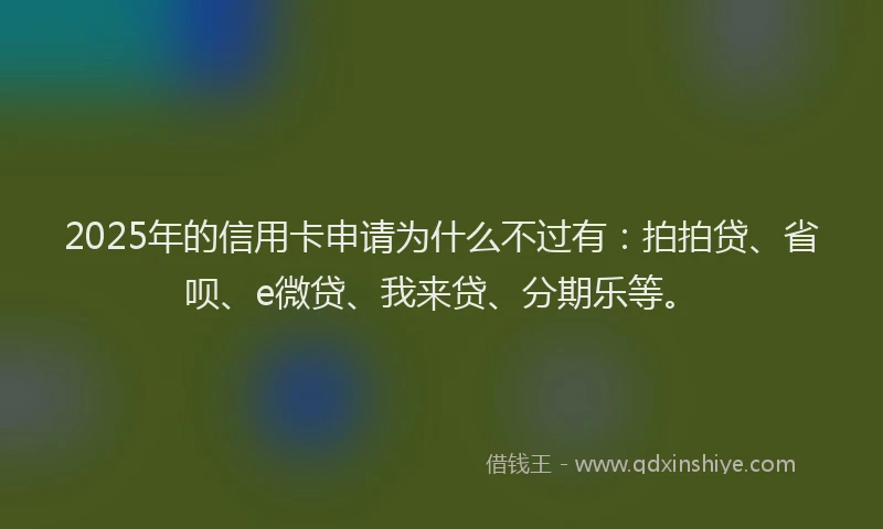 2025年的信用卡申请为什么不过有：拍拍贷、省呗、e微贷、我来贷、分期乐等。