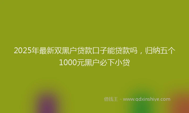 2025年最新双黑户贷款口子能贷款吗，归纳五个1000元黑户必下小贷