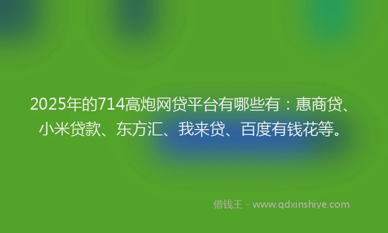 2025年的714高炮网贷平台有哪些有：惠商贷、小米贷款、东方汇、我来贷、百度有钱花等。