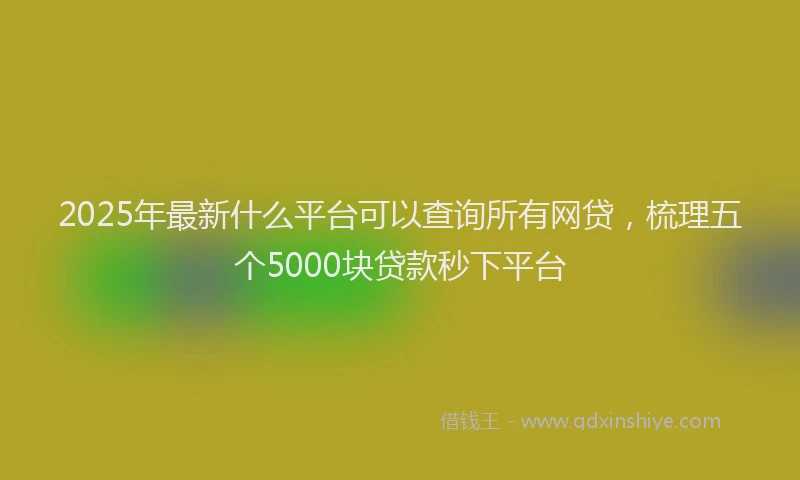 2025年最新什么平台可以查询所有网贷，梳理五个5000块贷款秒下平台