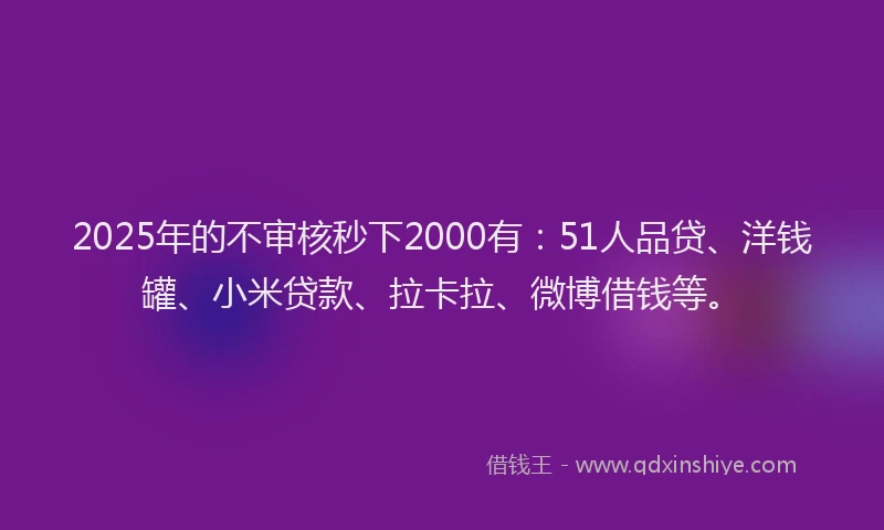 2025年的不审核秒下2000有：51人品贷、洋钱罐、小米贷款、拉卡拉、微博借钱等。