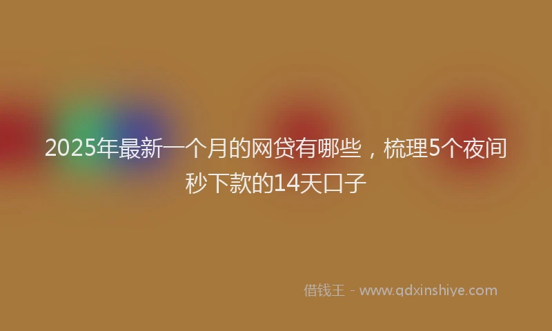2025年最新一个月的网贷有哪些，梳理5个夜间秒下款的14天口子