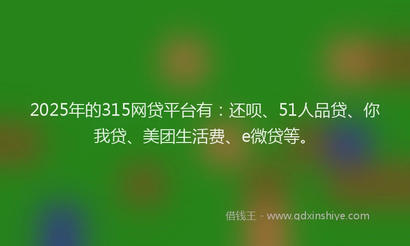 2025年的315网贷平台有：还呗、51人品贷、你我贷、美团生活费、e微贷等。