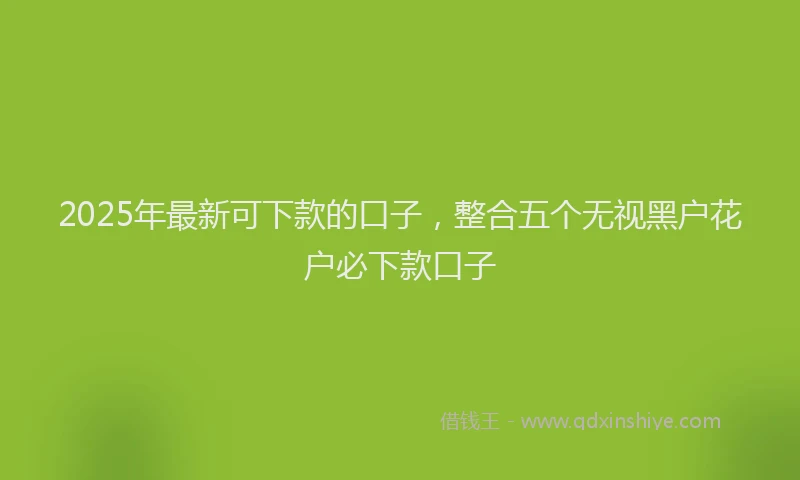 2025年最新可下款的口子，整合五个无视黑户花户必下款口子