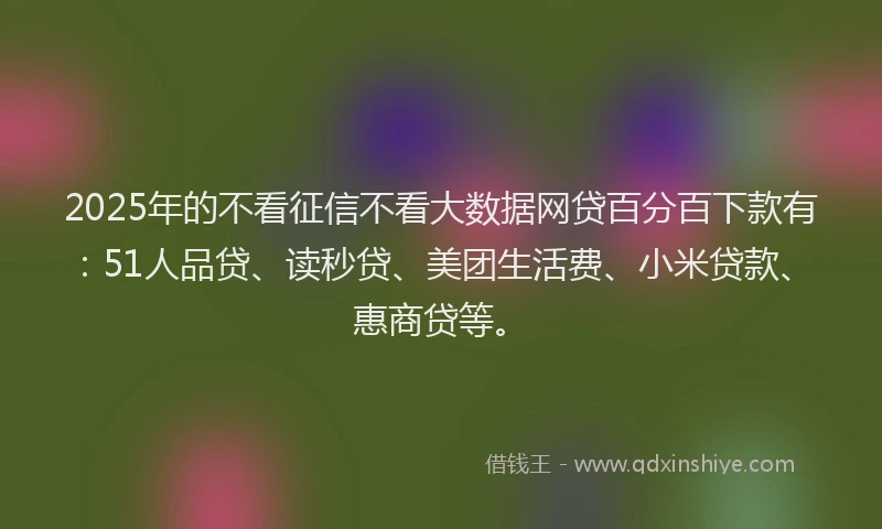 2025年的不看征信不看大数据网贷百分百下款有：51人品贷、读秒贷、美团生活费、小米贷款、惠商贷等。