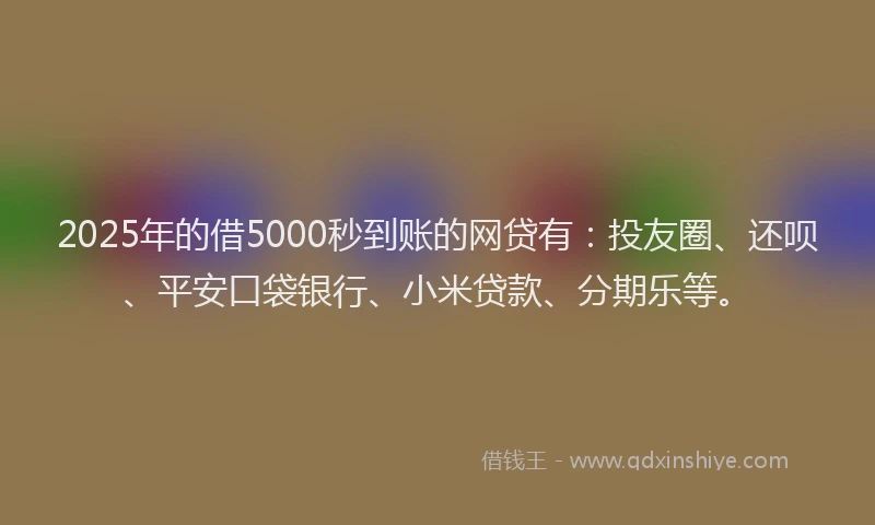 2025年的借5000秒到账的网贷有：投友圈、还呗、平安口袋银行、小米贷款、分期乐等。