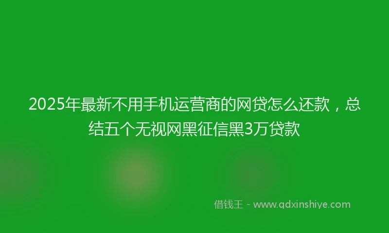 2025年最新不用手机运营商的网贷怎么还款，总结五个无视网黑征信黑3万贷款