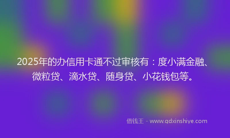 2025年的办信用卡通不过审核有：度小满金融、微粒贷、滴水贷、随身贷、小花钱包等。