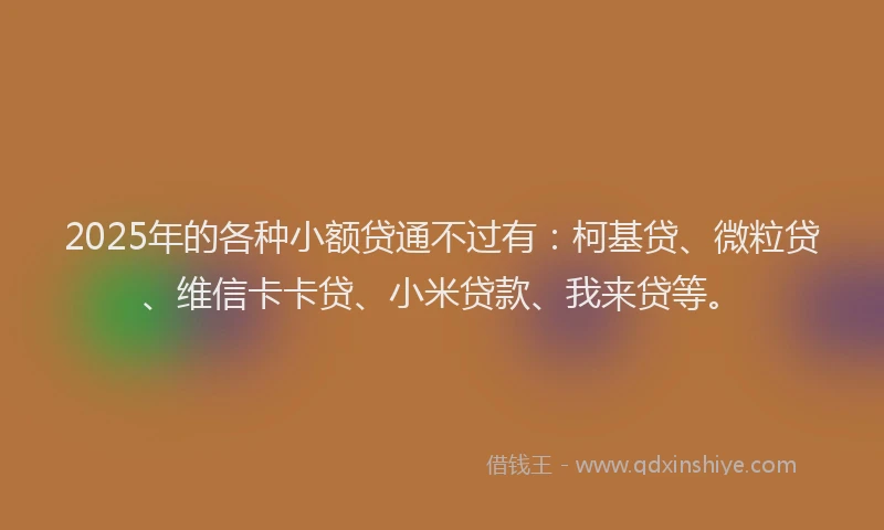 2025年的各种小额贷通不过有：柯基贷、微粒贷、维信卡卡贷、小米贷款、我来贷等。