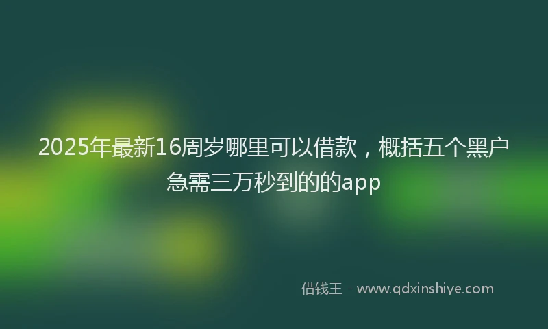 2025年最新16周岁哪里可以借款，概括五个黑户急需三万秒到的的app