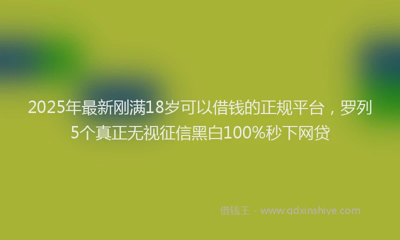 2025年最新刚满18岁可以借钱的正规平台，罗列5个真正无视征信黑白100%秒下网贷