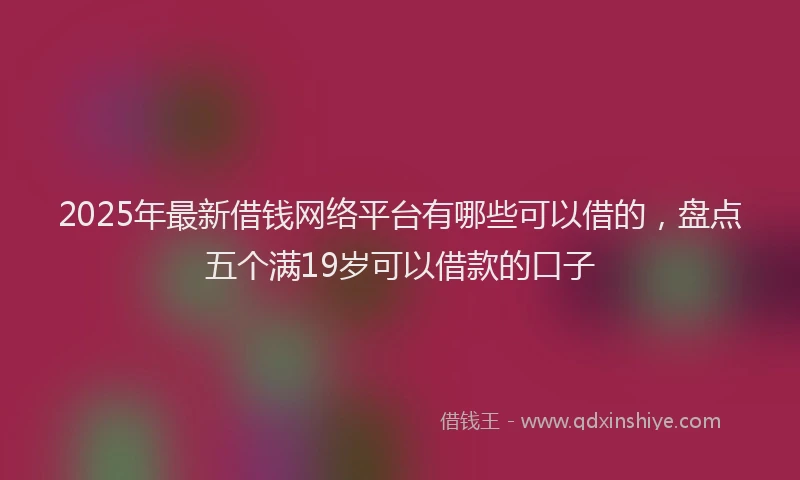 2025年最新借钱网络平台有哪些可以借的，盘点五个满19岁可以借款的口子