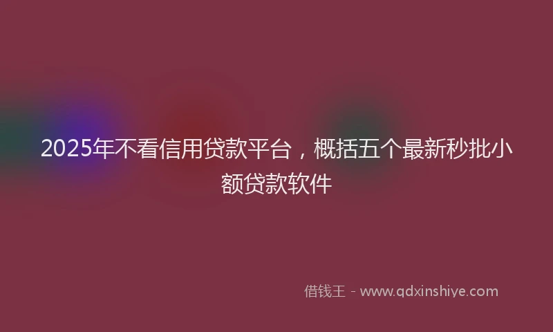 2025年不看信用贷款平台，概括五个最新秒批小额贷款软件