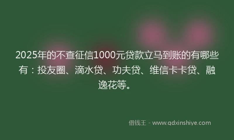 2025年的不查征信1000元贷款立马到账的有哪些有：投友圈、滴水贷、功夫贷、维信卡卡贷、融逸花等。