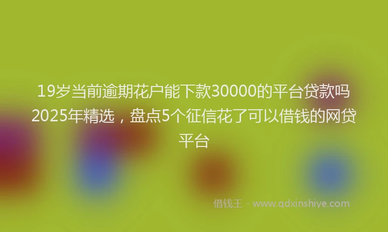 19岁当前逾期花户能下款30000的平台贷款吗2025年精选，盘点5个征信花了可以借钱的网贷平台