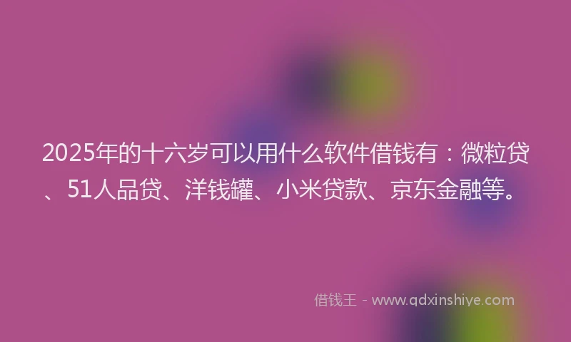 2025年的十六岁可以用什么软件借钱有：微粒贷、51人品贷、洋钱罐、小米贷款、京东金融等。