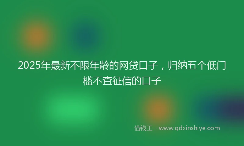 2025年最新不限年龄的网贷口子，归纳五个低门槛不查征信的口子