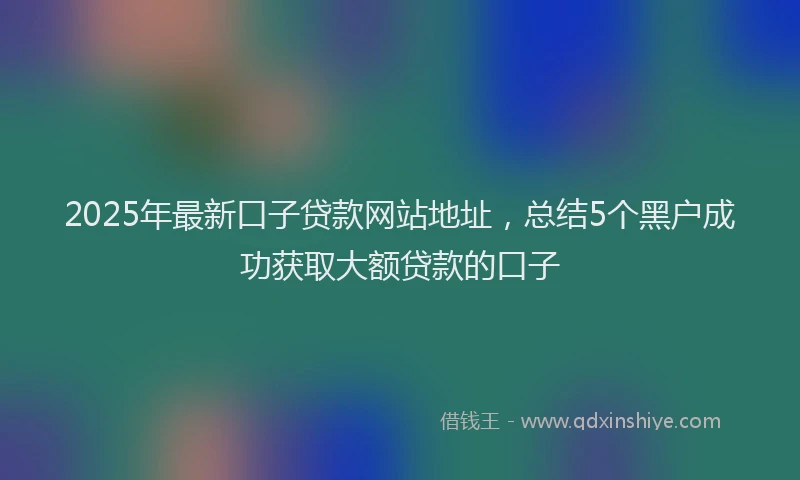 2025年最新口子贷款网站地址，总结5个黑户成功获取大额贷款的口子
