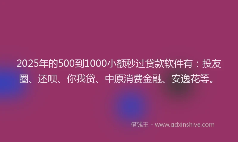 2025年的500到1000小额秒过贷款软件有：投友圈、还呗、你我贷、中原消费金融、安逸花等。