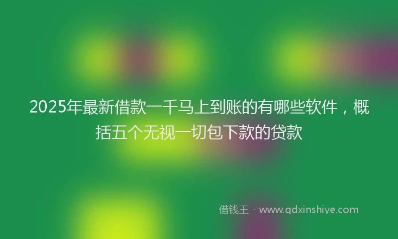 2025年最新借款一千马上到账的有哪些软件，概括五个无视一切包下款的贷款