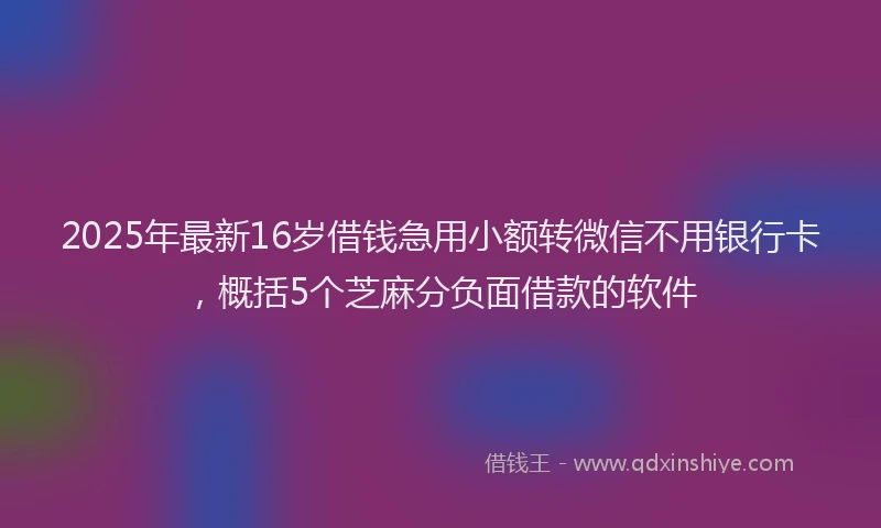 2025年最新16岁借钱急用小额转微信不用银行卡，概括5个芝麻分负面借款的软件