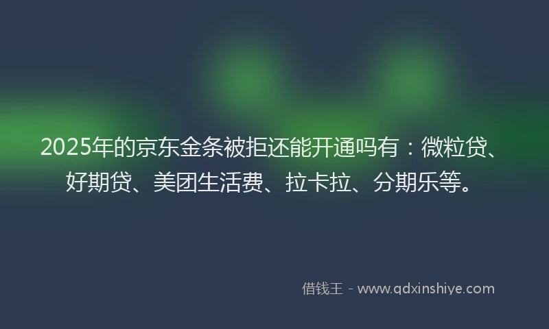 2025年的京东金条被拒还能开通吗有：微粒贷、好期贷、美团生活费、拉卡拉、分期乐等。