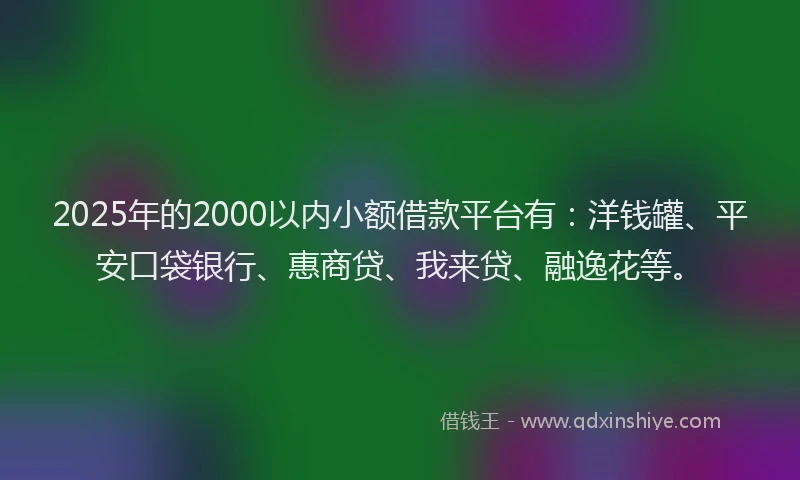 2025年的2000以内小额借款平台有：洋钱罐、平安口袋银行、惠商贷、我来贷、融逸花等。