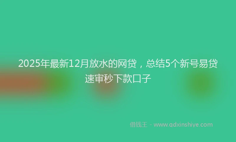 2025年最新12月放水的网贷，总结5个新号易贷速审秒下款口子