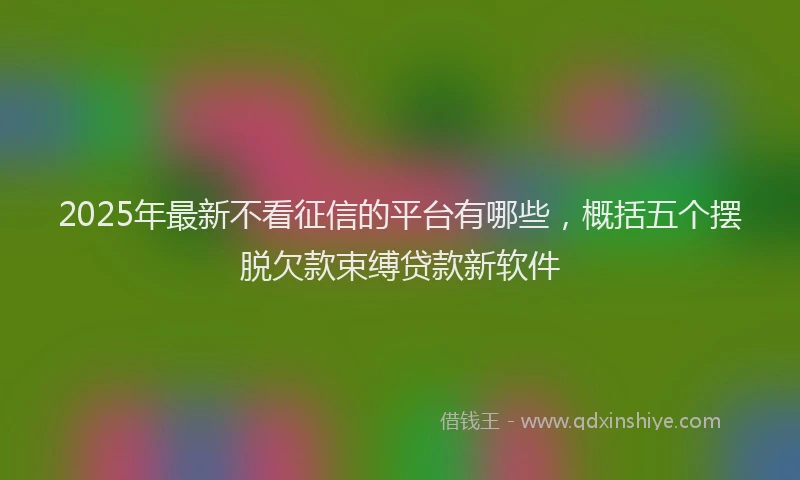 2025年最新不看征信的平台有哪些，概括五个摆脱欠款束缚贷款新软件