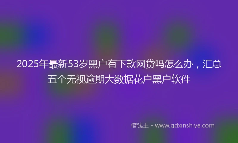 2025年最新53岁黑户有下款网贷吗怎么办，汇总五个无视逾期大数据花户黑户软件