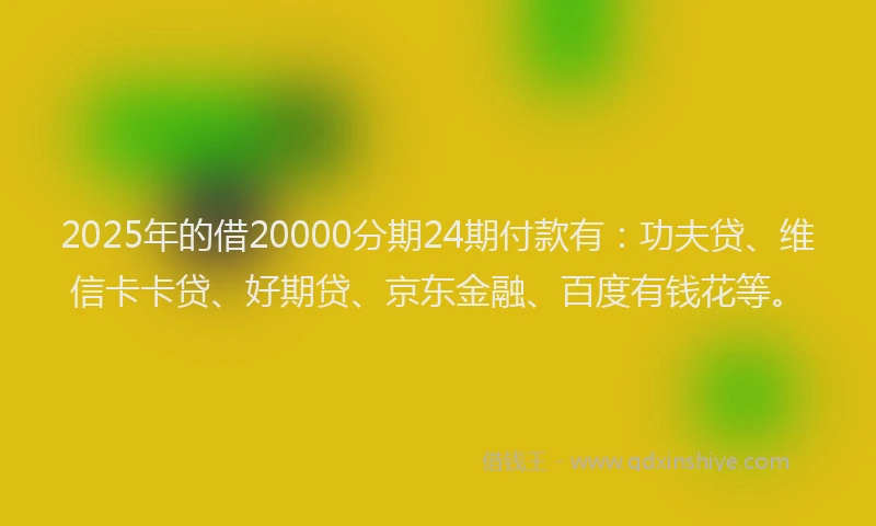 2025年的借20000分期24期付款有：功夫贷、维信卡卡贷、好期贷、京东金融、百度有钱花等。