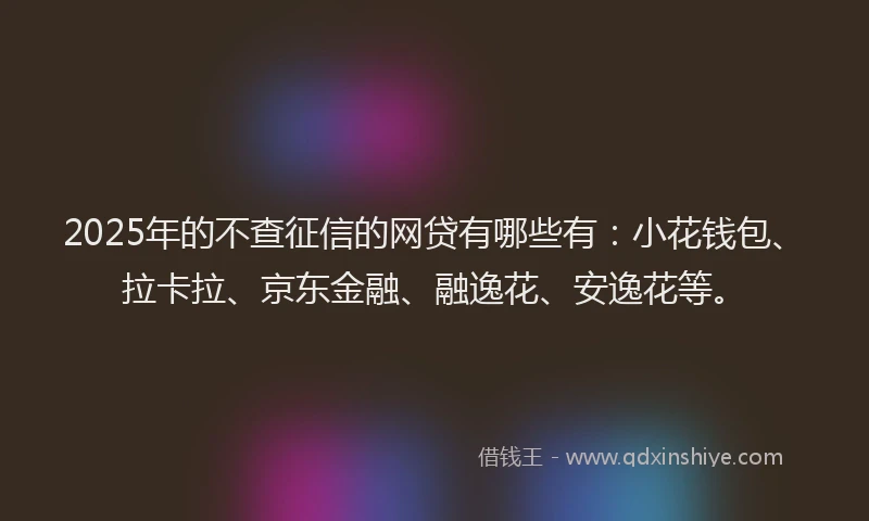 2025年的不查征信的网贷有哪些有：小花钱包、拉卡拉、京东金融、融逸花、安逸花等。