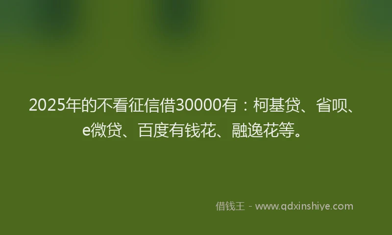2025年的不看征信借30000有：柯基贷、省呗、e微贷、百度有钱花、融逸花等。