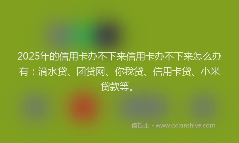 2025年的信用卡办不下来信用卡办不下来怎么办有：滴水贷、团贷网、你我贷、信用卡贷、小米贷款等。