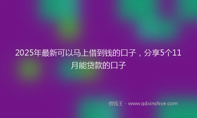 2025年最新可以马上借到钱的口子，分享5个11月能贷款的口子