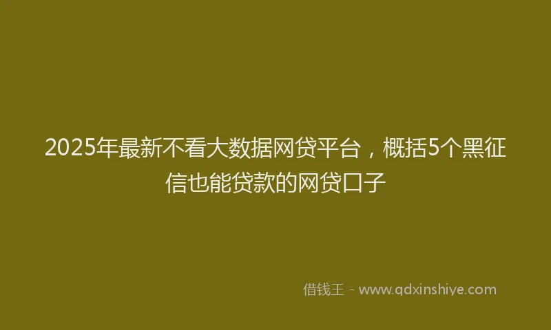 2025年最新不看大数据网贷平台，概括5个黑征信也能贷款的网贷口子