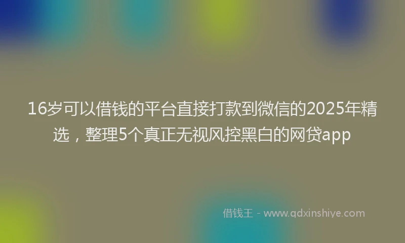 16岁可以借钱的平台直接打款到微信的2025年精选，整理5个真正无视风控黑白的网贷app