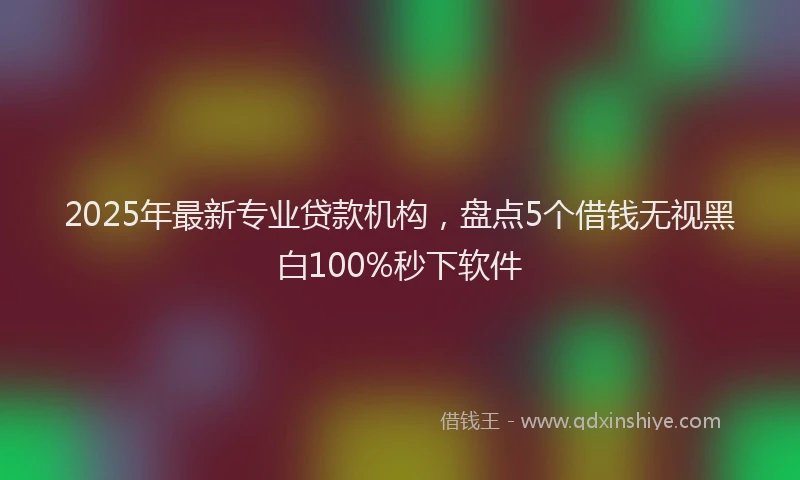 2025年最新专业贷款机构，盘点5个借钱无视黑白100%秒下软件