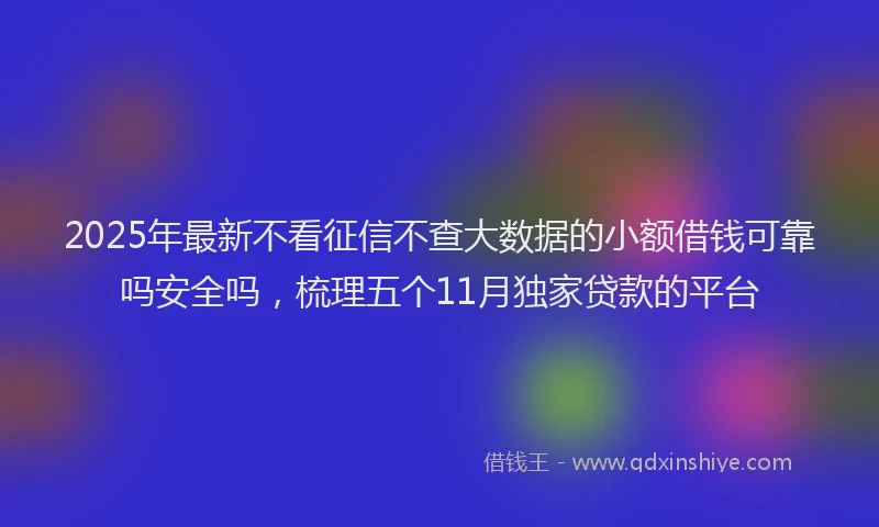 2025年最新不看征信不查大数据的小额借钱可靠吗安全吗，梳理五个11月独家贷款的平台