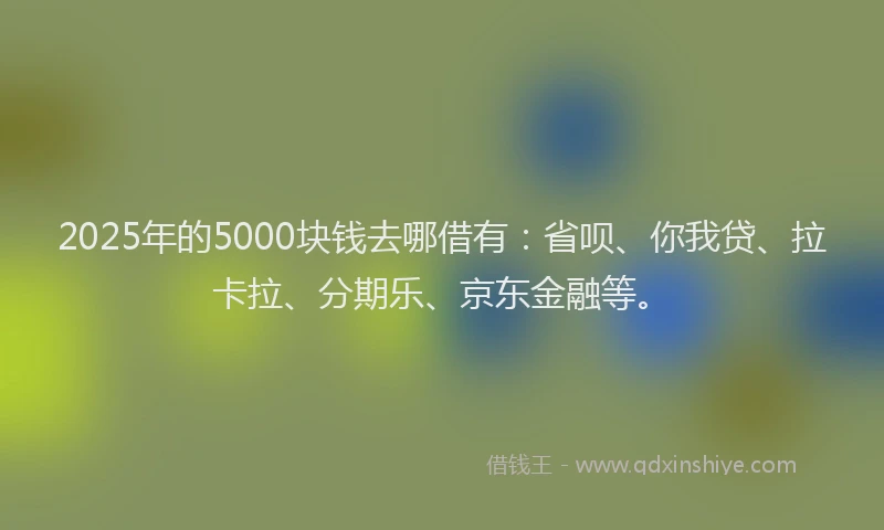 2025年的5000块钱去哪借有：省呗、你我贷、拉卡拉、分期乐、京东金融等。