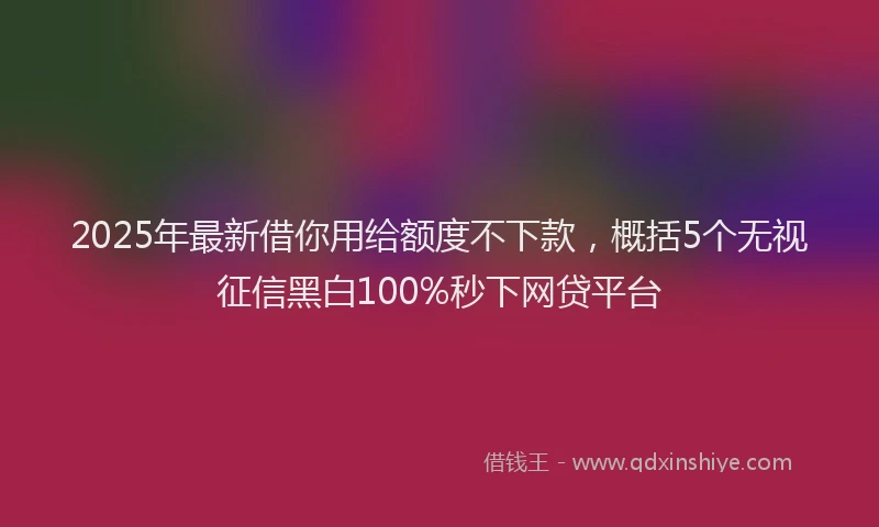 2025年最新借你用给额度不下款，概括5个无视征信黑白100%秒下网贷平台