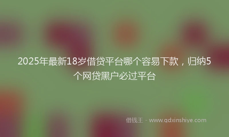 2025年最新18岁借贷平台哪个容易下款，归纳5个网贷黑户必过平台