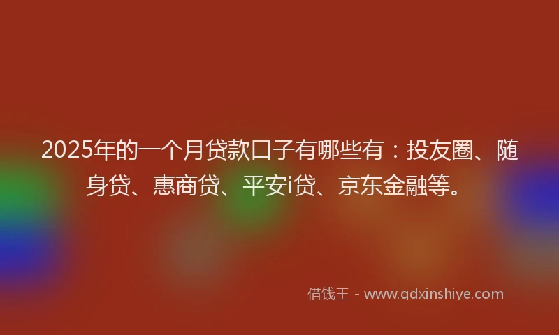 2025年的一个月贷款口子有哪些有：投友圈、随身贷、惠商贷、平安i贷、京东金融等。